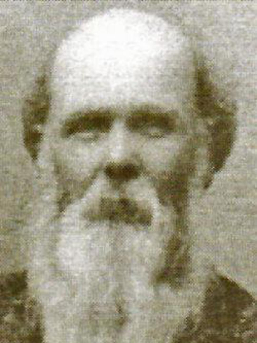 John Austin Hammer (1829 - 1911) Profile